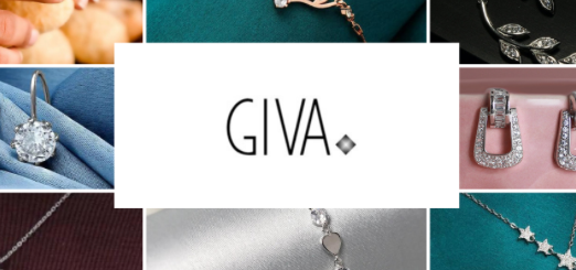 GIVA Case Study